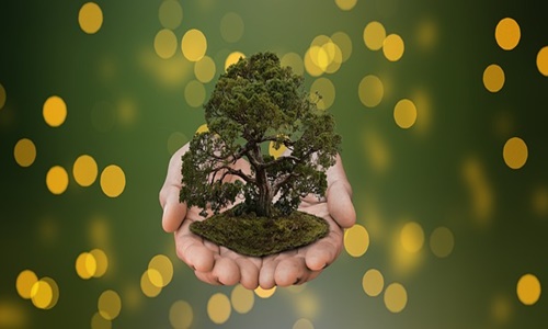 Xi pledges to protect nature, prioritize environment & foster green living Xi pledges to protect nature, prioritize environment & foster green living