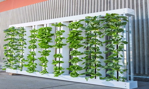 Crop One and Emirates open ‘Emirates Crop One’ vertical farm in Dubai Crop One and Emirates open ‘Emirates Crop One’ vertical farm in Dubai