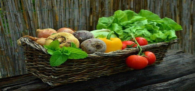 EU puts flagship eco policies on hold citing food security concerns EU puts flagship eco policies on hold citing food security concerns