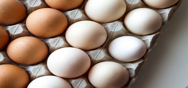 UK: Free-range eggs taken off market shelves due to avian flu outbreak