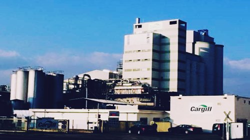 Cargill to pour in €12M in a chocolate production line at Mouscron