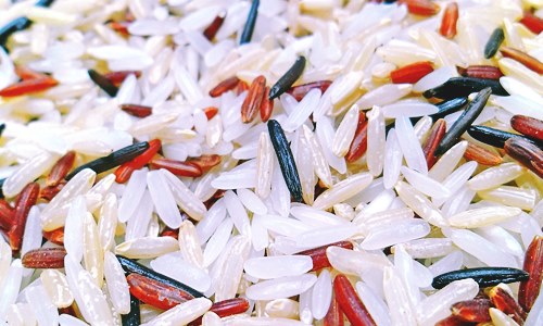 BiotechJP introduces protein reduced precooked rice in Philippines