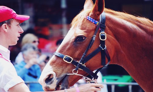 Doriemus’ Horse Hill test campaign to depict positive results