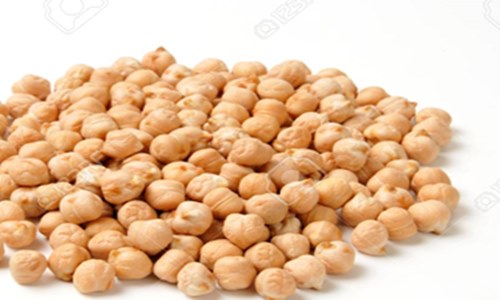 Nutriati & PLT Health join hands to launch the Artesa chickpea protein