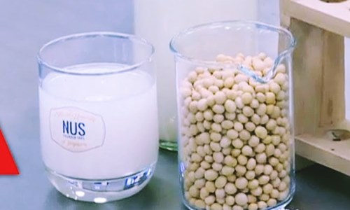 NUS makes breakthrough, turns tofu waste to healthy probiotic drink