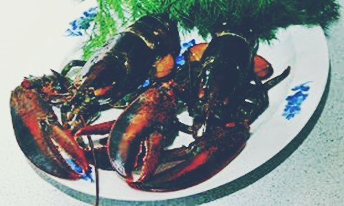 Premium Brands acquires American lobster processor Ready Seafood
