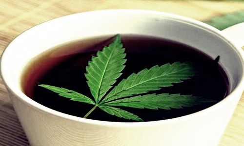 Redfund updates cannabis tea brand Mary’s Wellness’ operations Redfund updates cannabis tea brand Mary’s Wellness’ operations
