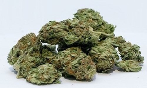 Health Canada grants Hexo sales license for Belleville cannabis facility